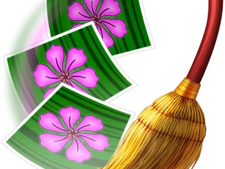 PhotoSweeper X 5.5.0 for Mac Free Download