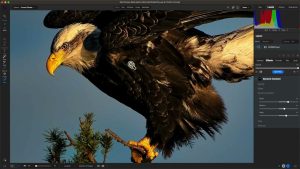 ON1 Photo RAW MAX 2026.3 v20.3.1.18535 for-Mac